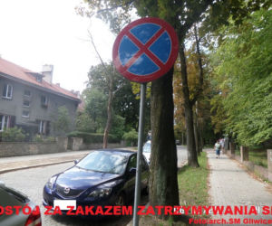 Janusze parkowania nie odpuszczają! Zobaczcie jak robią to najlepsi z nich