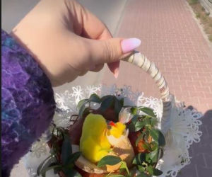 Wielkanocne koszyczki