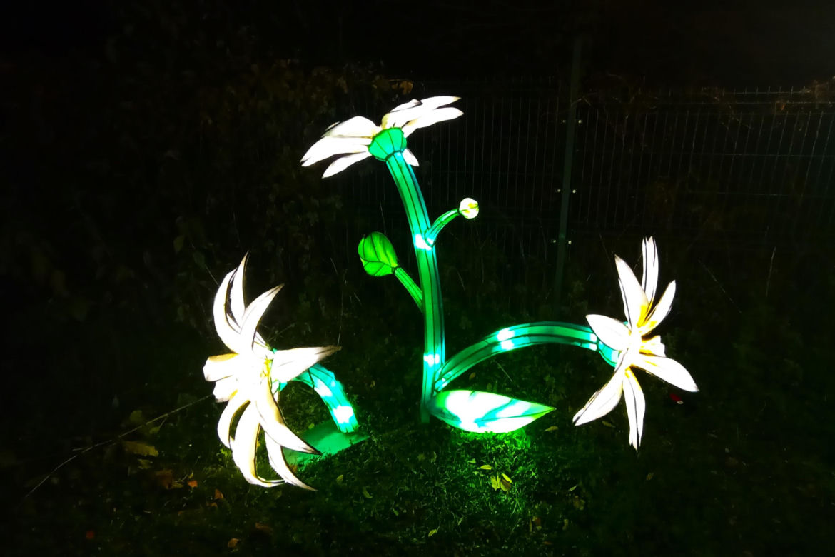 Garden of Lights w Szczecinie
