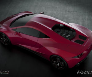 Arrinera Hussarya