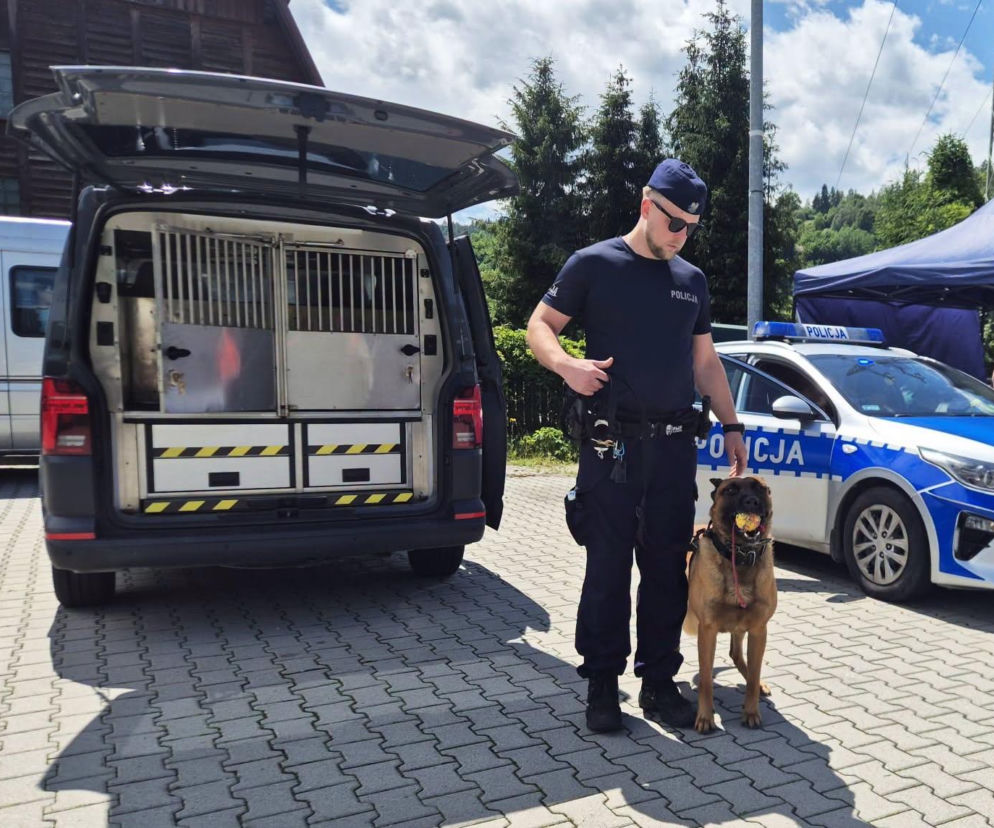 Nie tylko są naszymi przyjaciółmi.  Dbają też o nasze bezpieczeństwo!