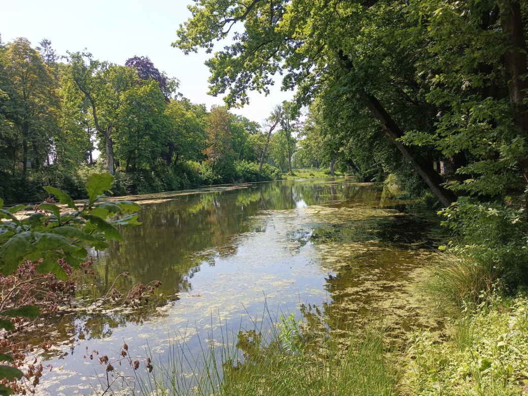 Parki podworskie w powiecie gdańskim