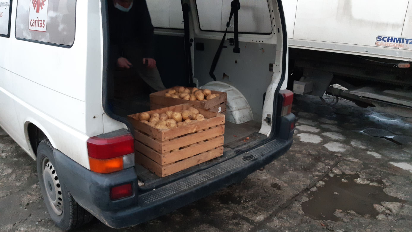 22 tony warzyw dla potrzebujących
