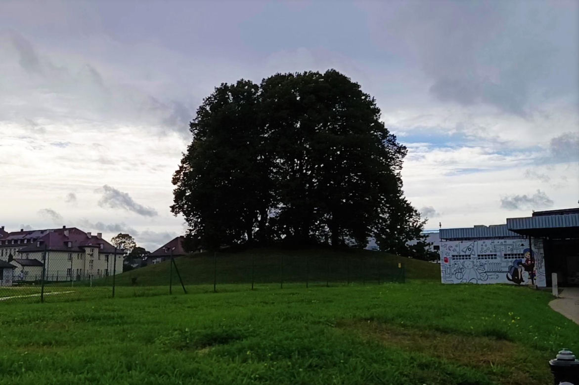 Wzgórze Napoleona w Szczecinie