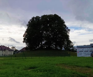 Wzgórze Napoleona w Szczecinie