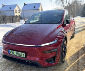 Model Y (Performance)