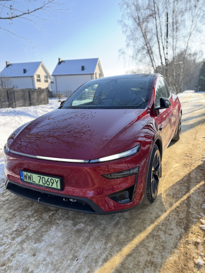 Model Y (Performance)