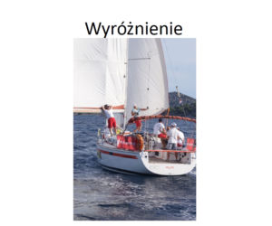 Wyróżnienie - Ryszard Syta