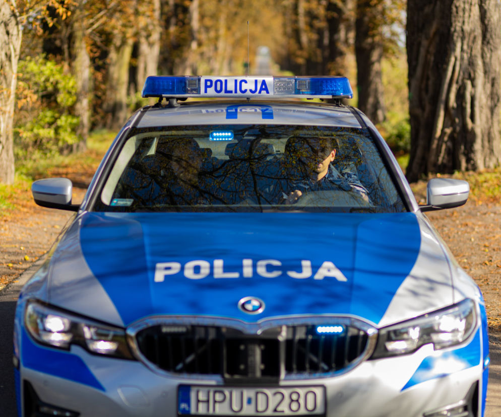 policja