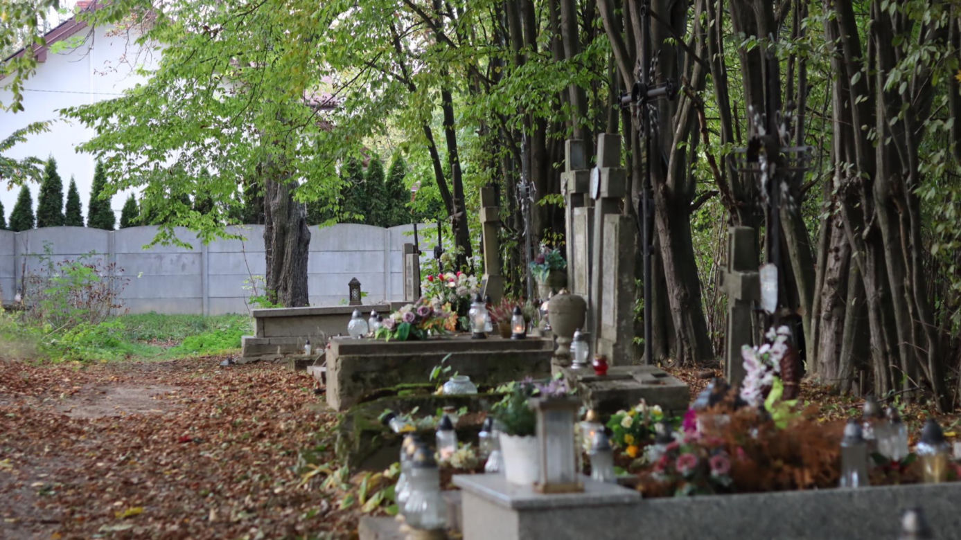 Lubelski cmentarz ukryty wśród drzew. Pochowani tu są mariawici. Zobacz