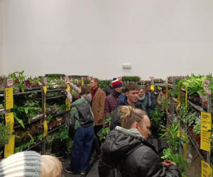 Festiwal Roślin w Enea Arenie