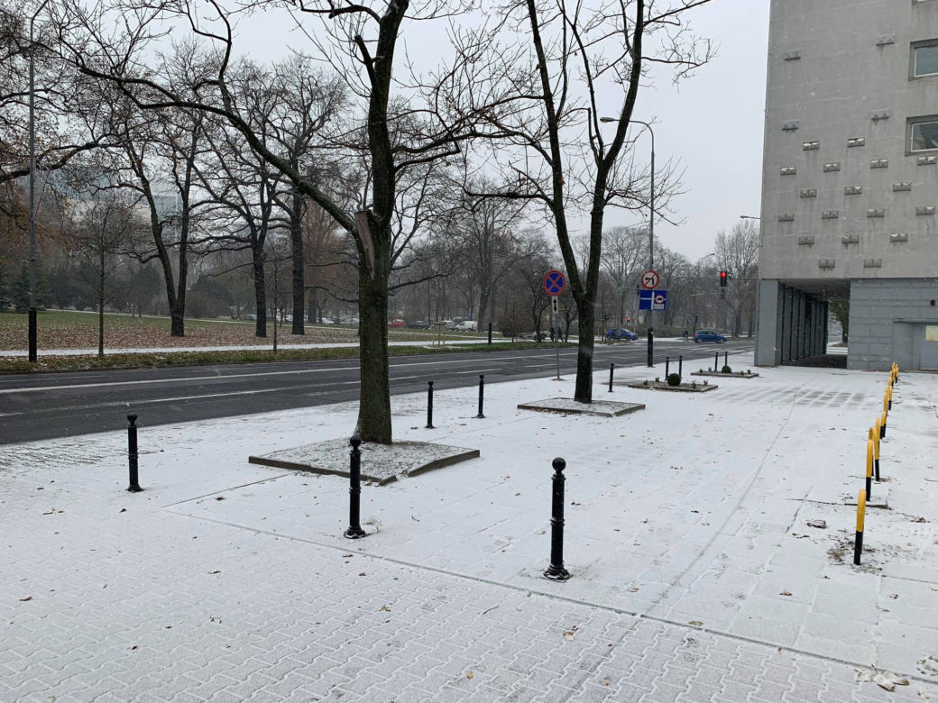 Spadł pierwszy śnieg! Zobacz jak wyglądają ulice Poznania
