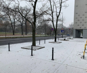 Spadł pierwszy śnieg! Zobacz jak wyglądają ulice Poznania