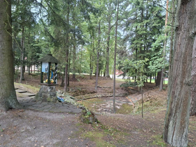 Czarniecka Góra