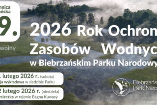 Czasem warto wdepnąć w bagno. Park zaprasza na 89 Wszechnicę Biebrzańską