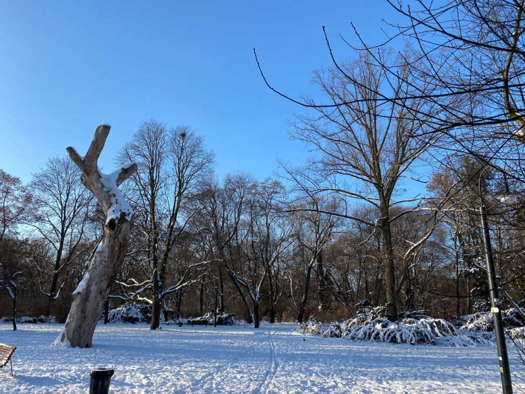 Śnieżna zima w Parku Praskim