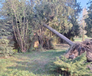 Wyjeżdżali do wypadków, pożarów i usuwania skutków wichury. Łukowscy strażacy interweniowali 69 razy w ciągu tygodnia