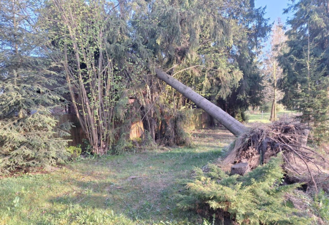 Wyjeżdżali do wypadków, pożarów i usuwania skutków wichury. Łukowscy strażacy interweniowali 69 razy w ciągu tygodnia