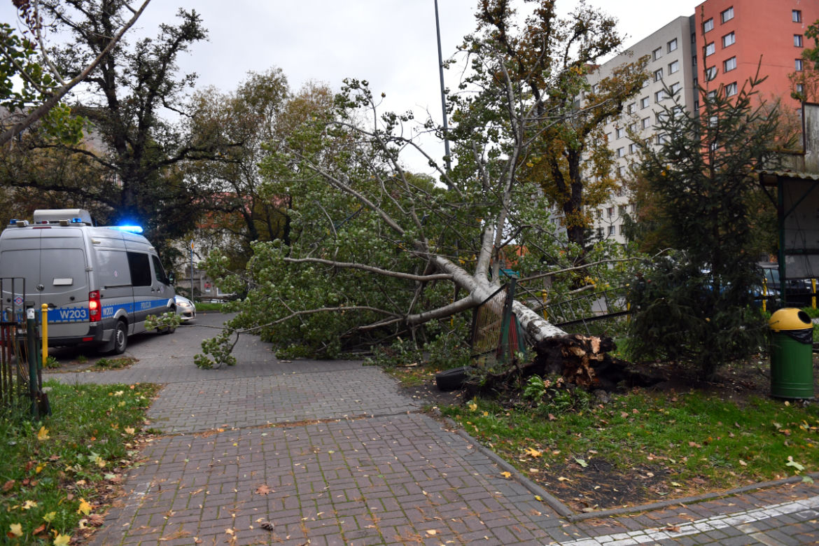 Skutki wichury w Szczecinie