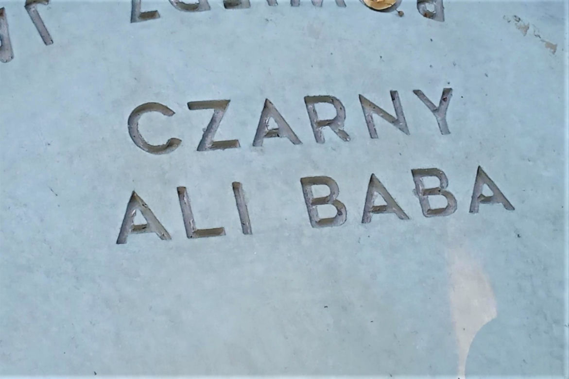 Pomnik Heleny Majdaniec w Szczecinie