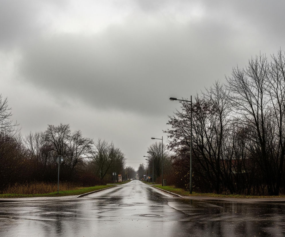 Długa, prosta droga biegnie w głąb obrazu, pokryta wodą i odbijająca światło pochmurnego, szarego nieba, które dominuje w górnej części kadru. Po obu stronach drogi rosną liczne drzewa i krzewy bez liści, ukazując nagie, ciemne gałęzie. Szereg czarnych latarń ulicznych biegnie wzdłuż prawej krawędzi drogi, a na poboczach widać zieloną trawę i szare chodniki.