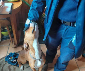 Policjanci usłyszeli ciche skomlenie, widok złamał im serca. Skrajnie wychudzona psinka nie miała dostępu nawet do wody