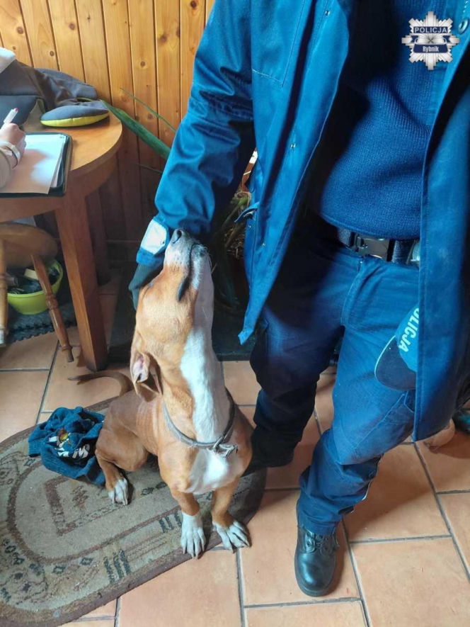 Policjanci usłyszeli ciche skomlenie, widok złamał im serca. Skrajnie wychudzona psinka nie miała dostępu nawet do wody