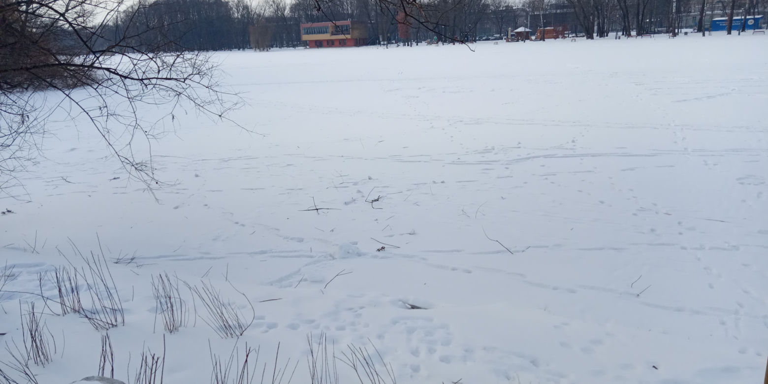 Zamarznięty Zalew Nowohucki
