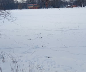 Zamarznięty Zalew Nowohucki