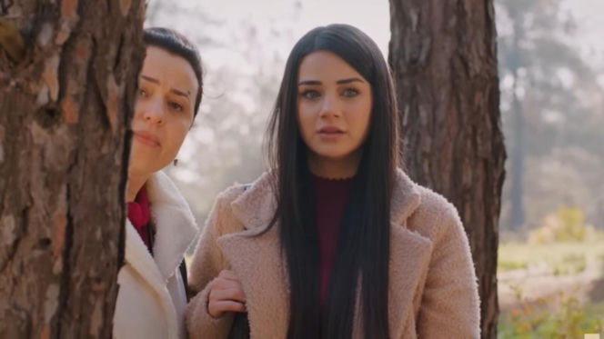 Miłość i nadzieja odc. 353. Bahar, Cavidan