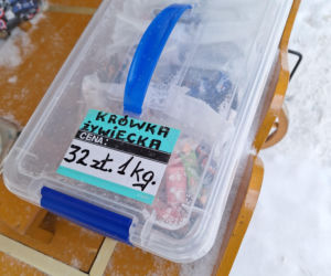 Ceny w Zakopanem na ferie zimowe 2026