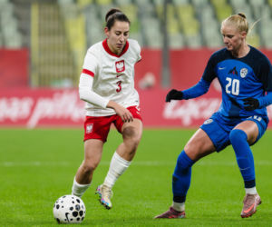 Polska - Słowenia: Najwierniejsi kibice wspierali reprezentację Polski kobiet. Dużo zdjęć z Gdańska