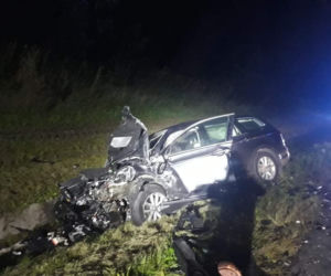 Jeleń doprowadził do tragedii w Małopolsce