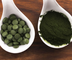 Chlorella