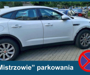 Warszawscy mistrzowie parkowania