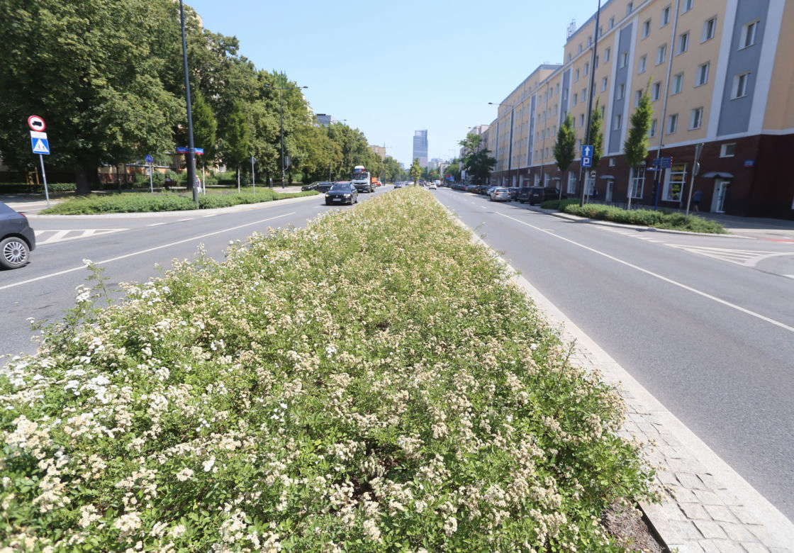 Wylali tu morze betonu”. Przy nowych stacjach metra na Bemowie zieleni jest jak na lekarstwo