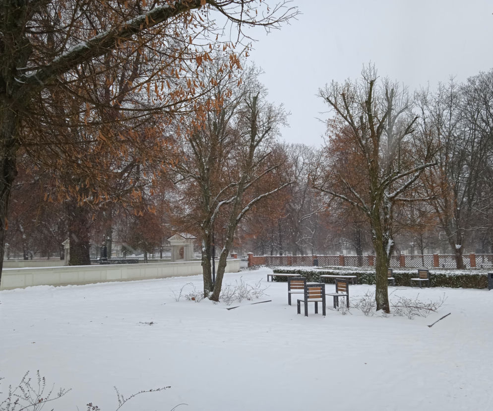 Nowa zima stulecia? Kiedy ostatnio była tak trudna zima w Warszawie? Sprawdzamy 