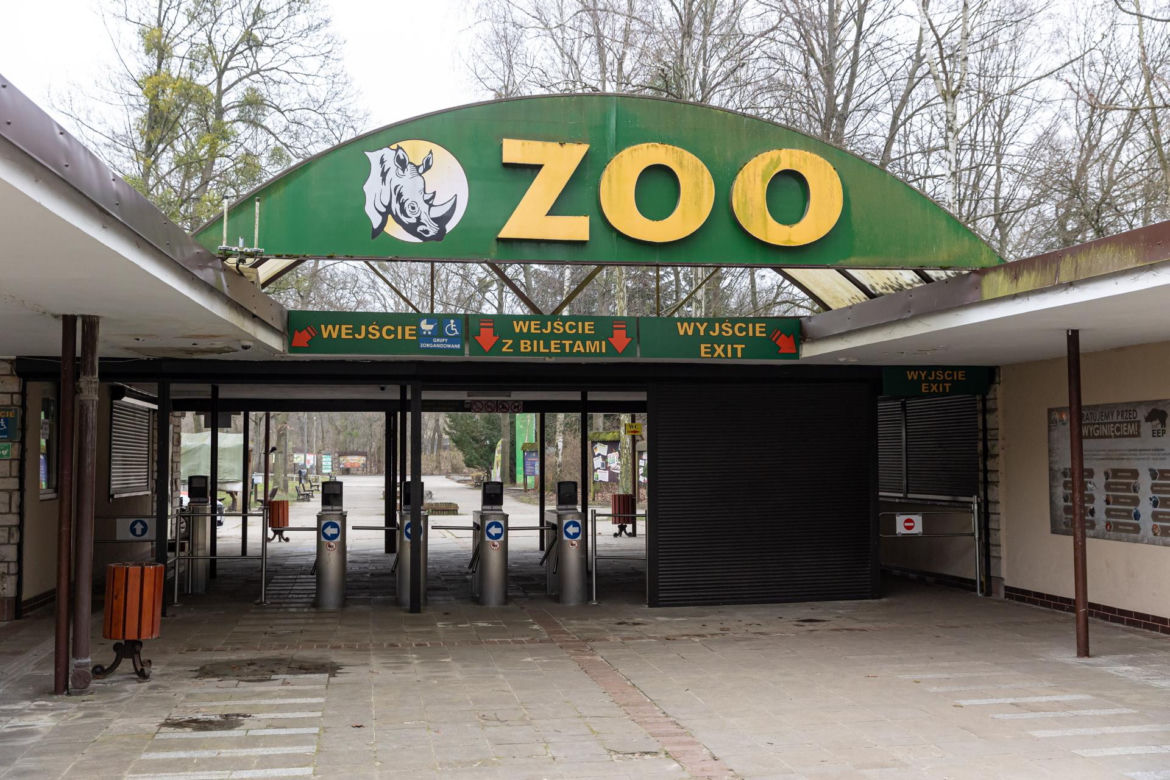 Zatrzymanie Ewy Z. - dyrektorki zoo w Poznaniu