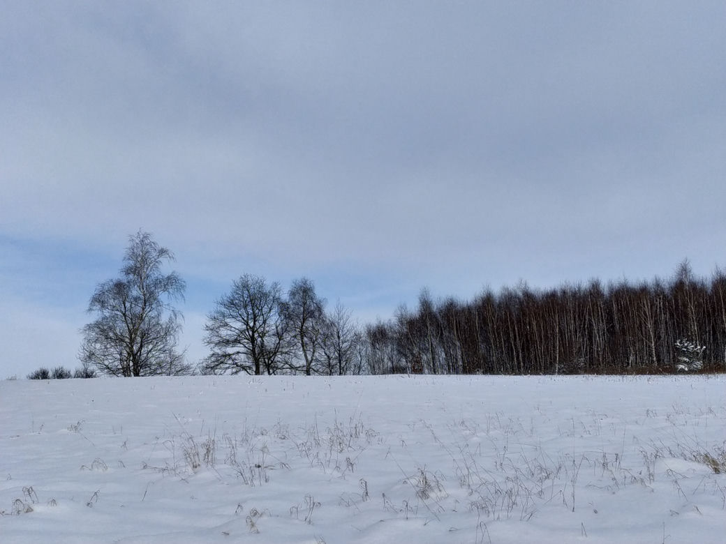 Zima w powiecie tarnowskim 