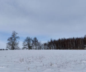 Zima w powiecie tarnowskim 