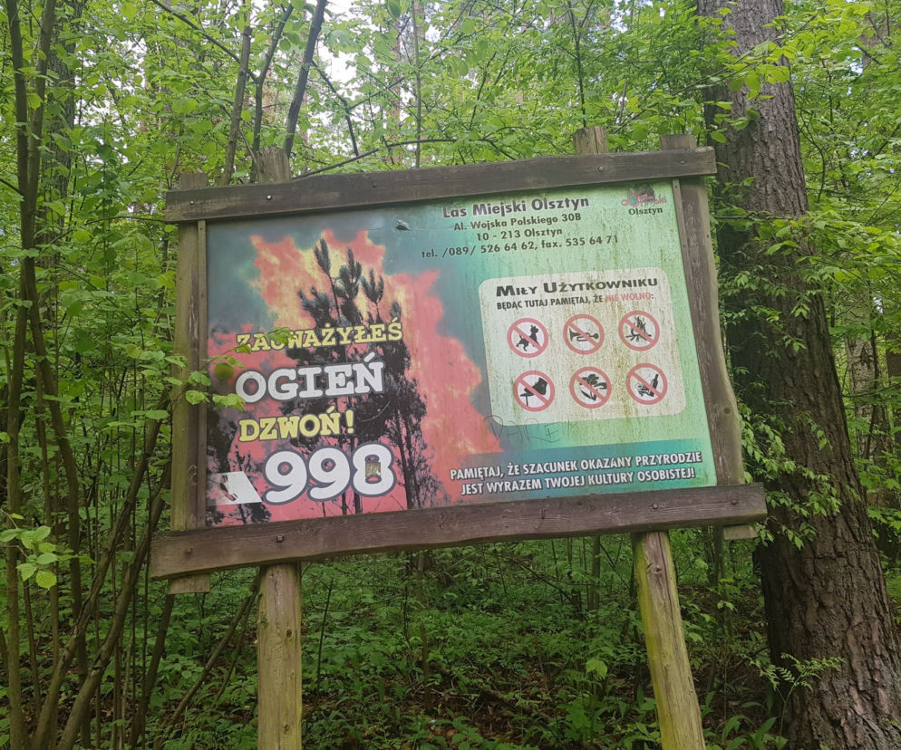 Las miejski Olsztyn 