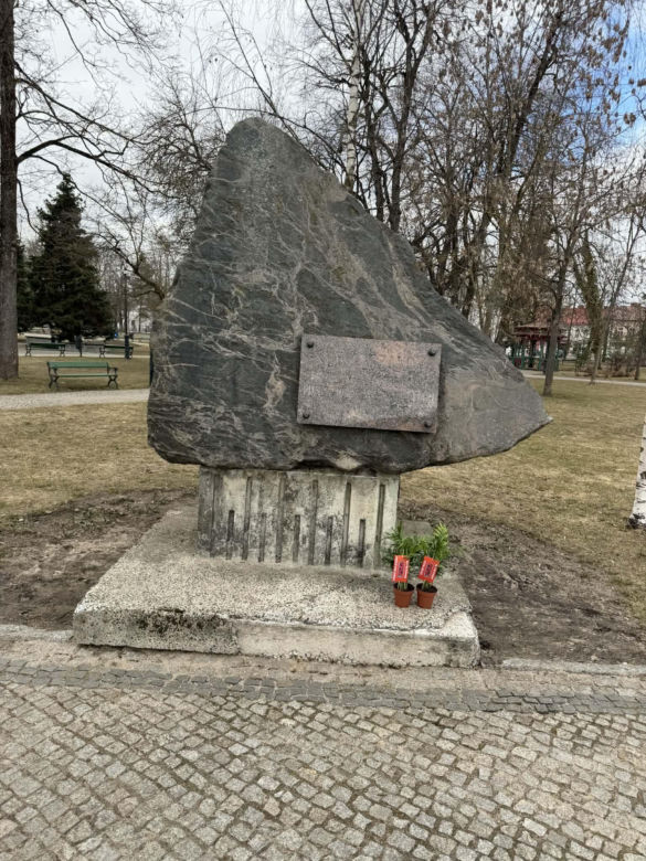 Darmowe palmy na ulicach Suwałk! Niezwykła akcja Radia ESKA