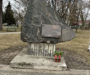 Darmowe palmy na ulicach Suwałk! Niezwykła akcja Radia ESKA