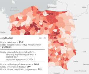 Koronawirus w województwie śląskim. Tak wygląda sytuacja w poszczególnych powiatach [RAPORT, 19 MARCA]
