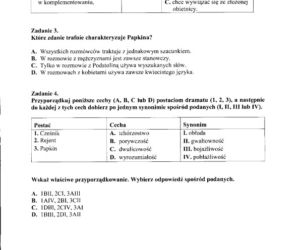 EGZAMIN GIMNAZJALNY 2012, JĘZYK POLSKI - ARKUSZE, PYTANIA, ODPOWIEDZI - TEST GIMNAZJALNY 2012 JEZYK POLSKI