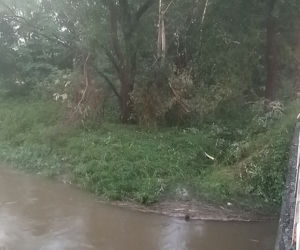 Nawałnica w gminie Lisia Góra łamała drzewa jak zapałki. Potężne zniszczenia 