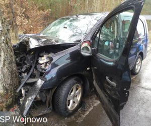 Dąbrówka Nowa. Samochód roztrzaskał się na drzewie! 2 osoby trafiły do szpitala
