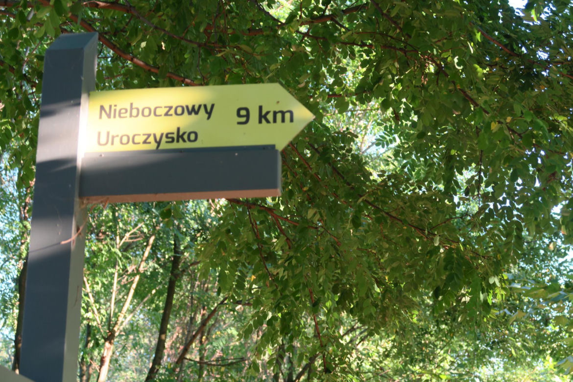Wysiedlili ludzi, by ratować ich życia przed wielką wodą. „Za metr ziemi płacili jak za butelkę piwa”