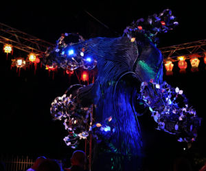 11. Bella Skyway Festival w Toruniu