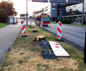 Remonty w Rzeszowie: Wycięte drzewa przy Urzędzie Marszałkowskim